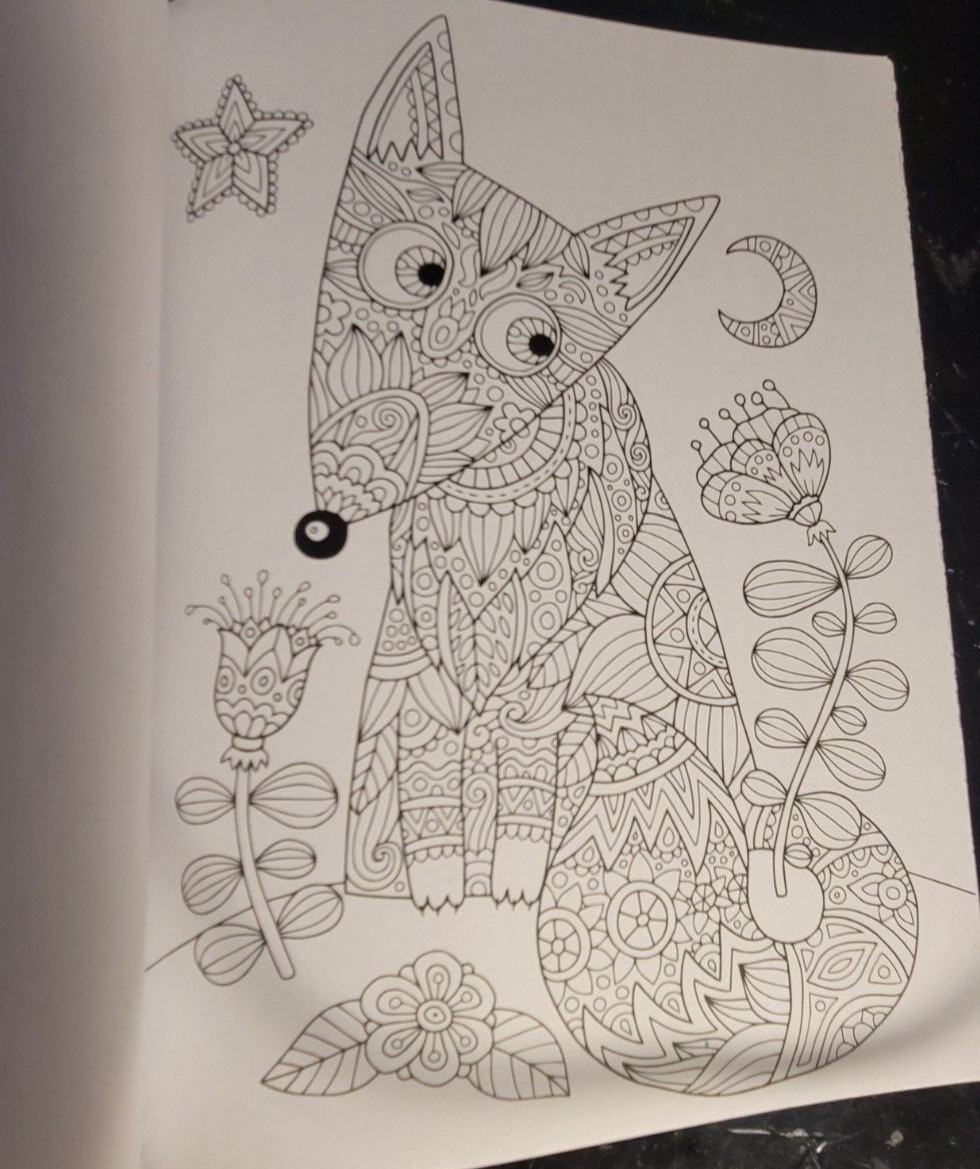 COLOR ME MAGNIFICENT Vol 11 Adult Coloring Book With 47 Prints Ready To Frame
