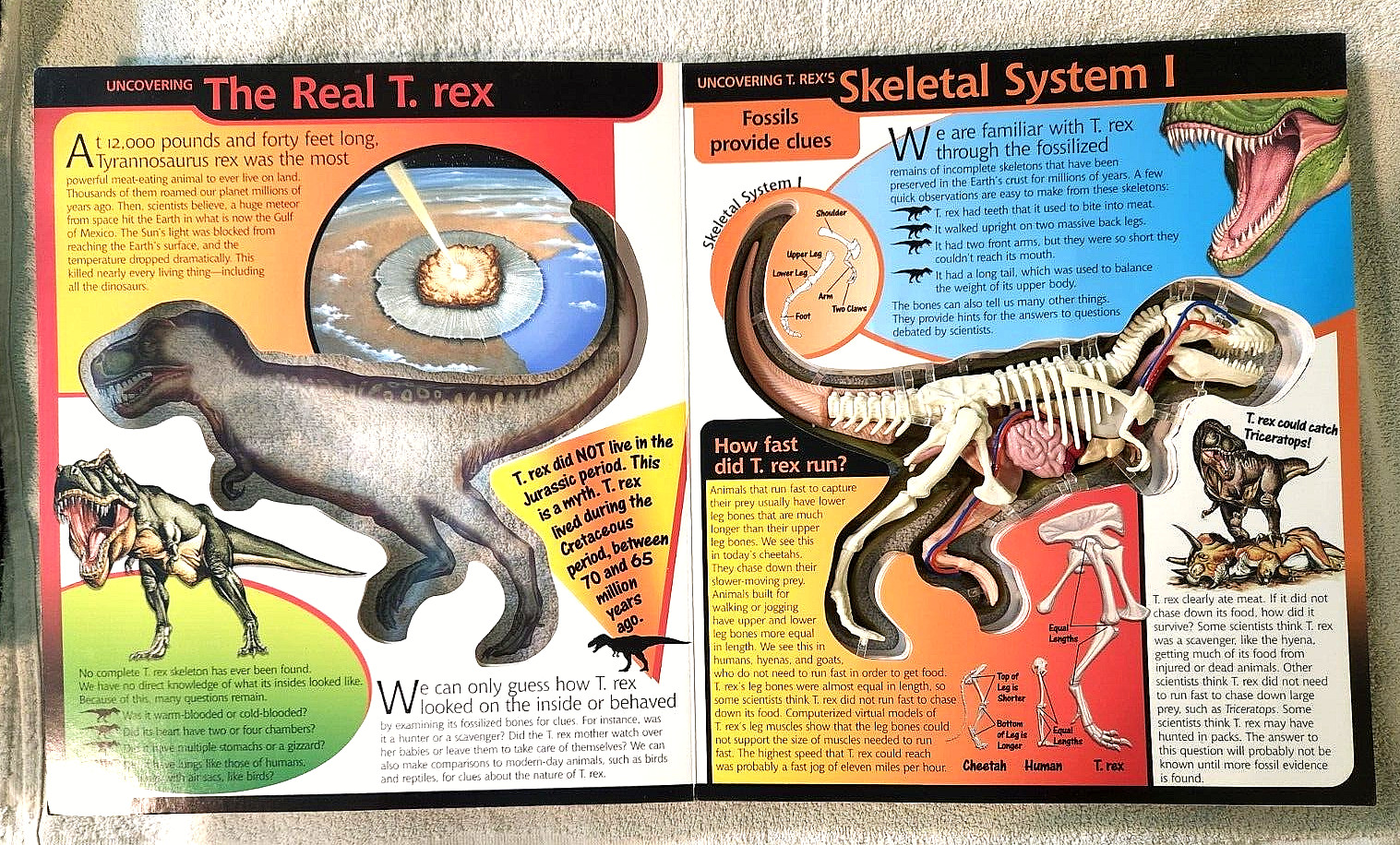 Take A Three-Dimensional Look Inside a T-Rex (2003 Readerlink Uncover Books Used