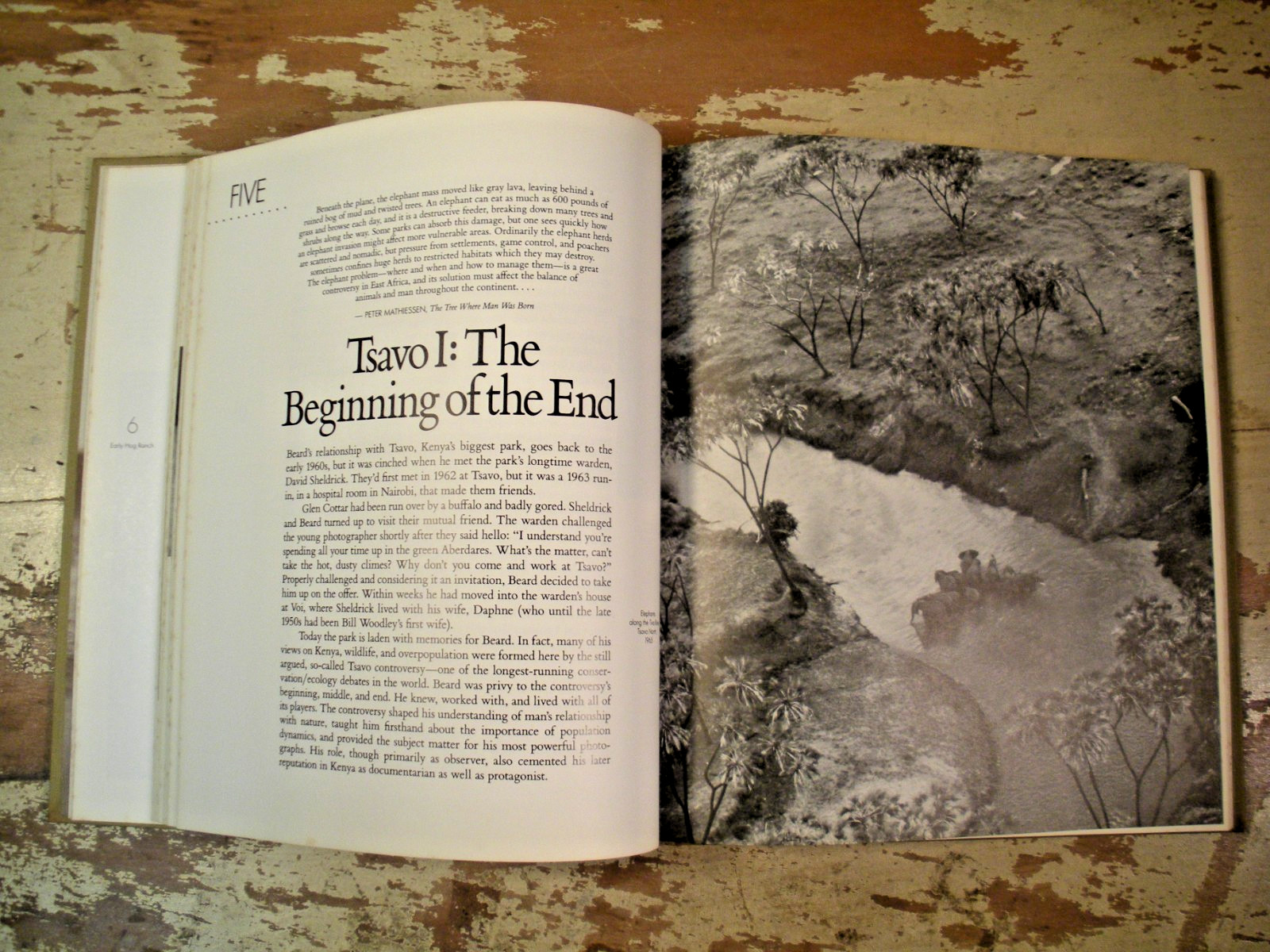 THE ADVENTURES AND MISADVENTURES OF PETER BEARD IN AFRICA 1993 HC/DJ 1st