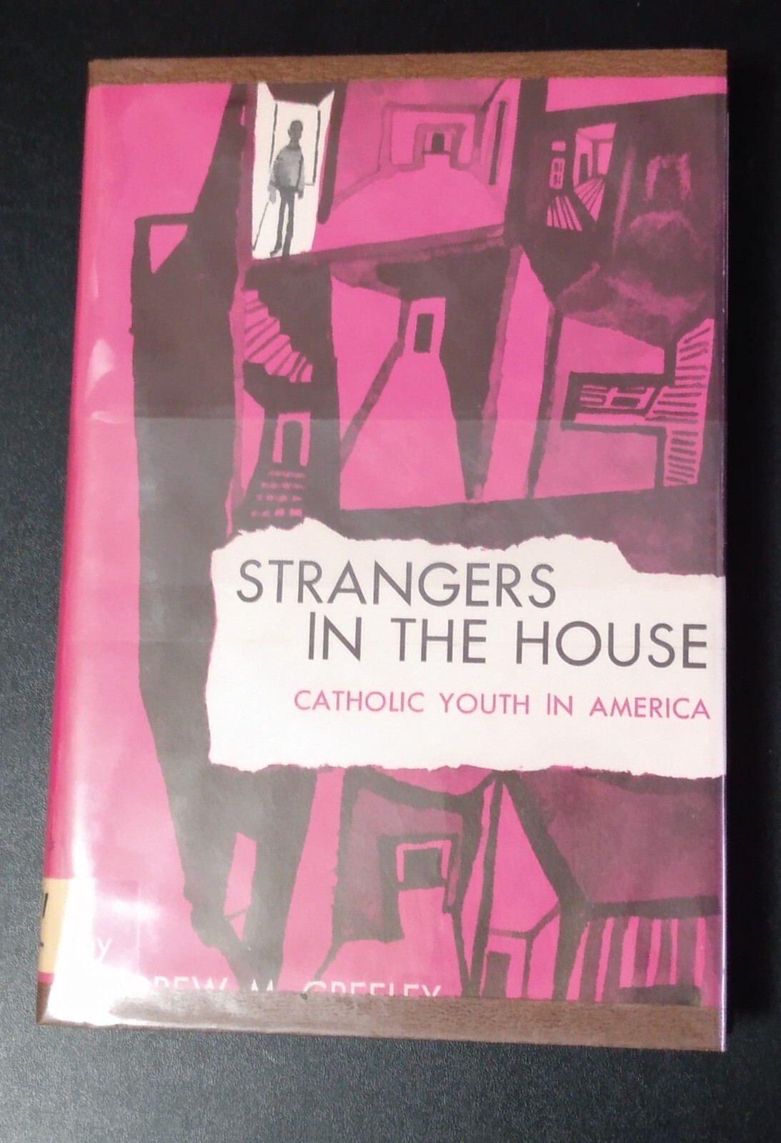 STRANGERS IN THE HOUSE – Andrew M. Greeley (hc/dj) 1961 Vintage Catholic