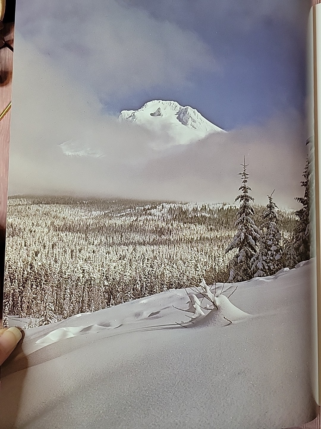 Oregon II Hardcover Large Table Top Book By Ray Atkeson Like New