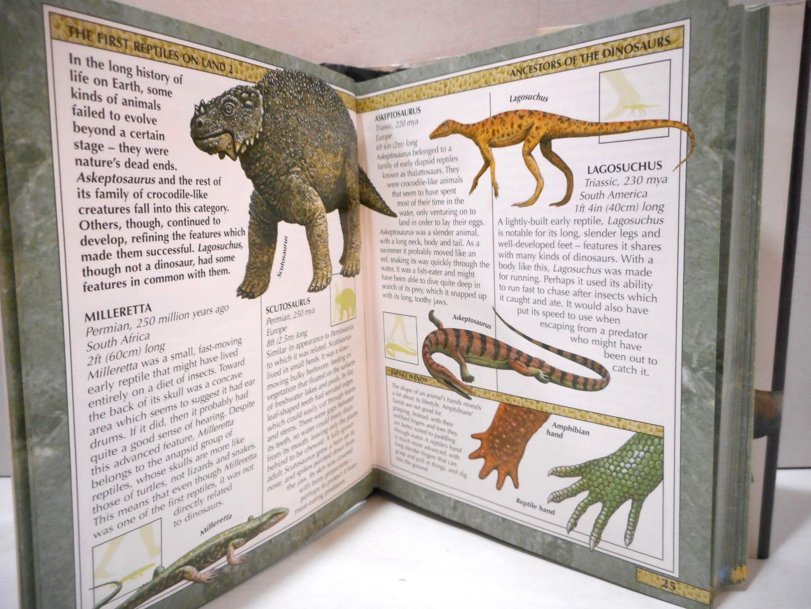 Encyclopedia Of Dinosaurs and The USA mini books Q&A HCDJ 2005 2006