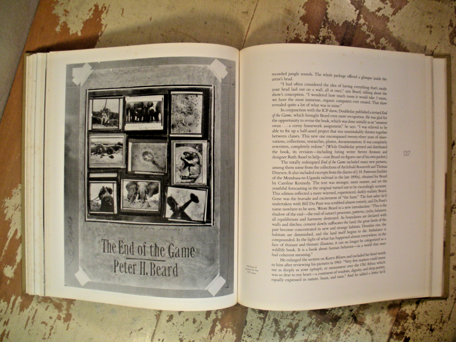 THE ADVENTURES AND MISADVENTURES OF PETER BEARD IN AFRICA 1993 HC/DJ 1st