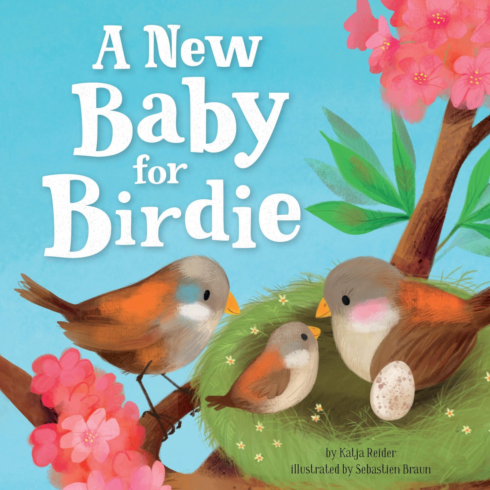 A New Baby for Birdie (Clever Family Stories) – board book Reider, Katja|Bra…