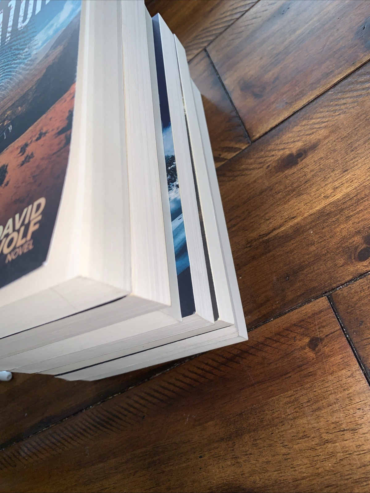 Lot of 7 David Wolf Mystery Jeff Carson Books