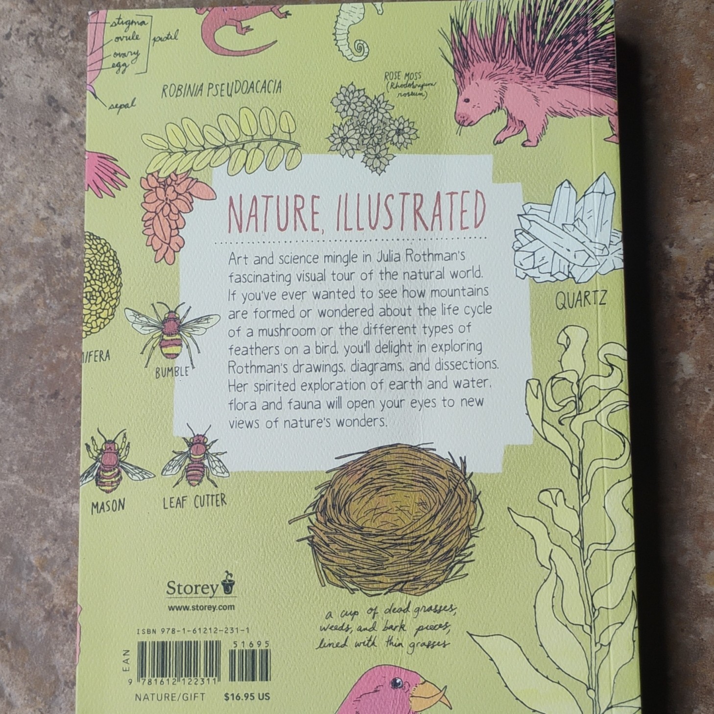Julia Rothman Collection 3 Book Box Set Nature Food Farm Anatomy