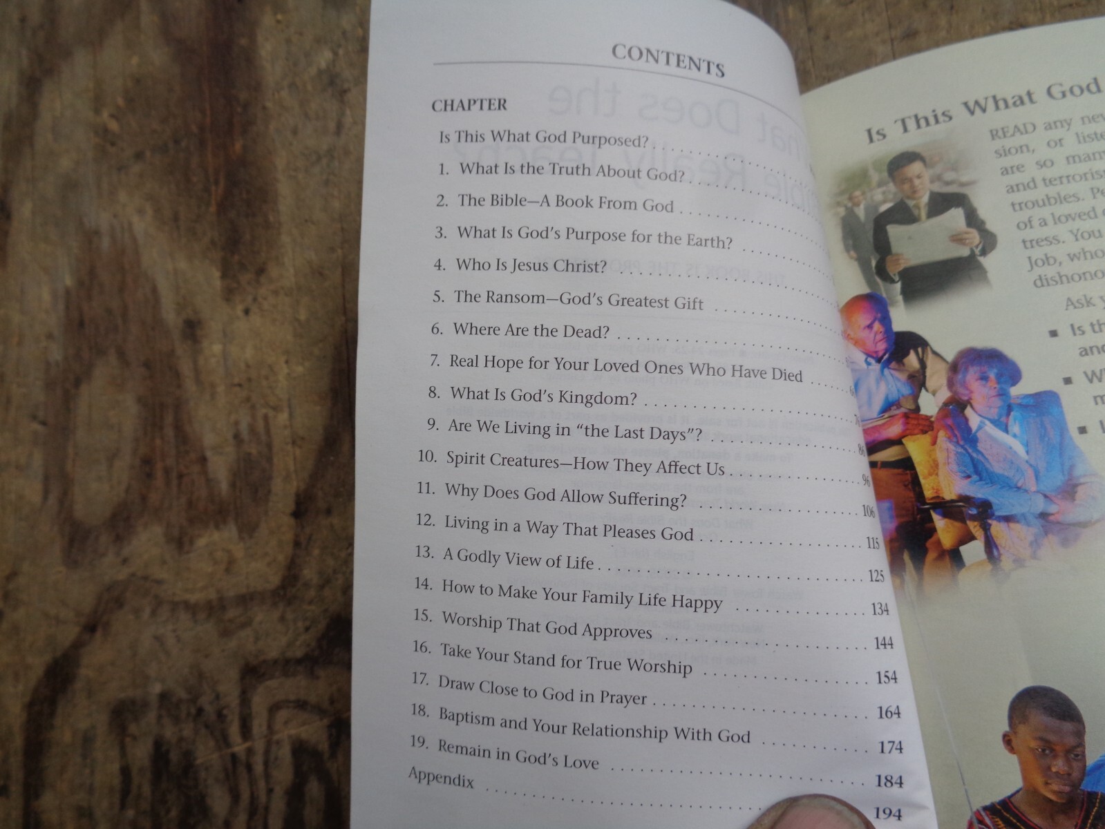 « WHAT DOES THE BIBLE REALLY TEACH? ». 2016. 223 pages. Paperback. Watchtower