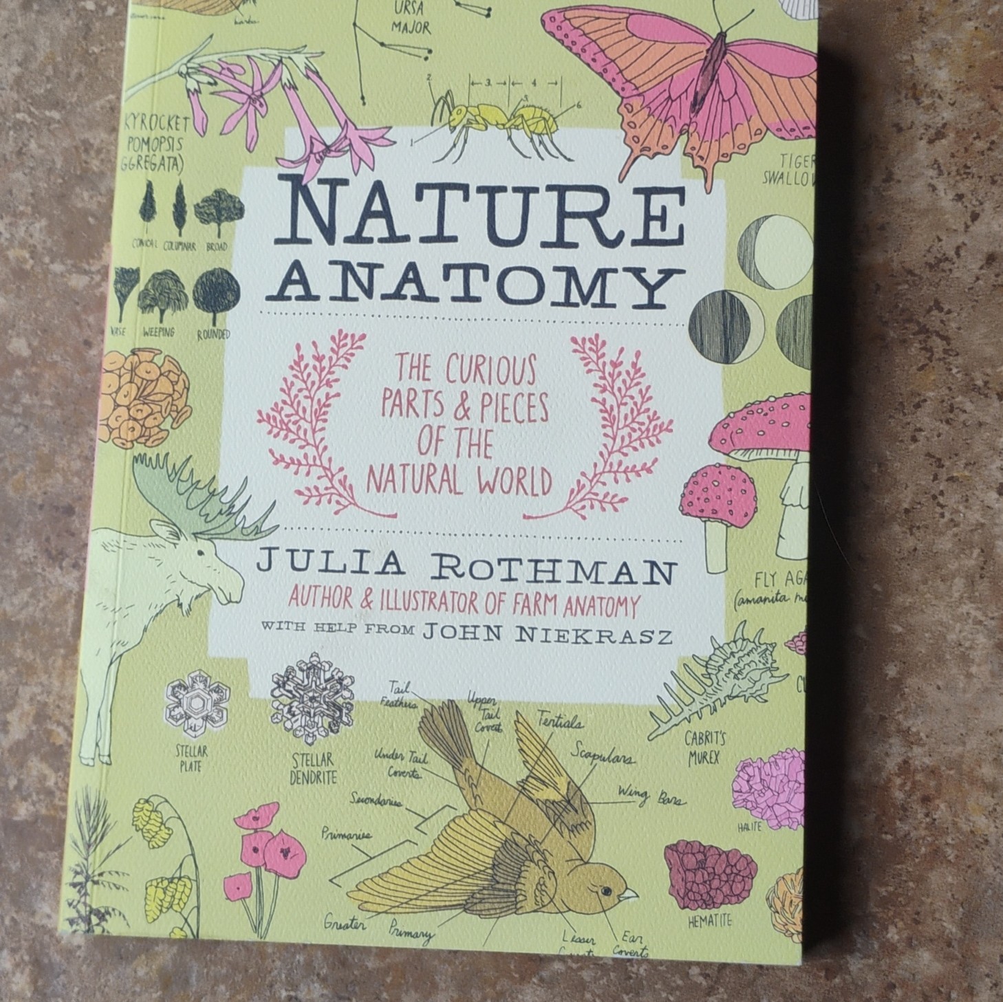 Julia Rothman Collection 3 Book Box Set Nature Food Farm Anatomy