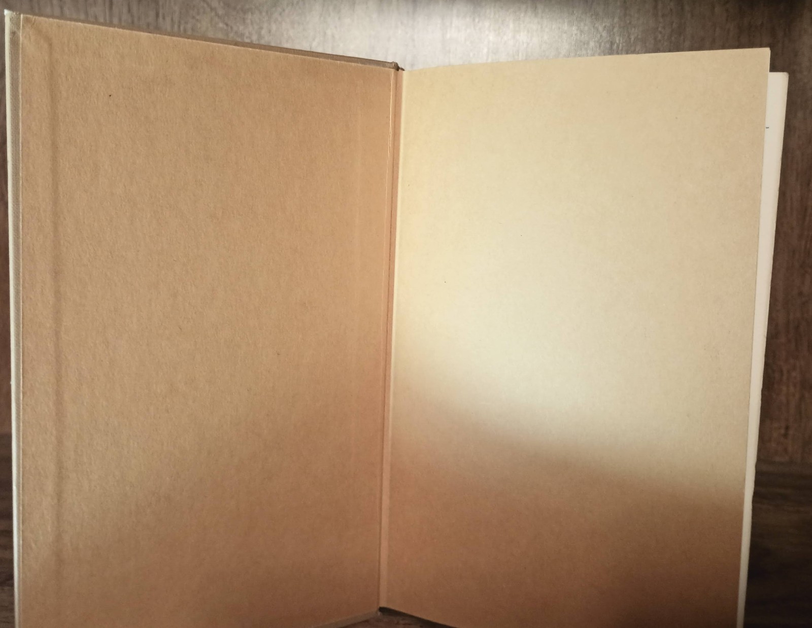 Survey of Israel&rsquo;s History Leon Wood Zondervan 1970 First Edition Biblical Studi
