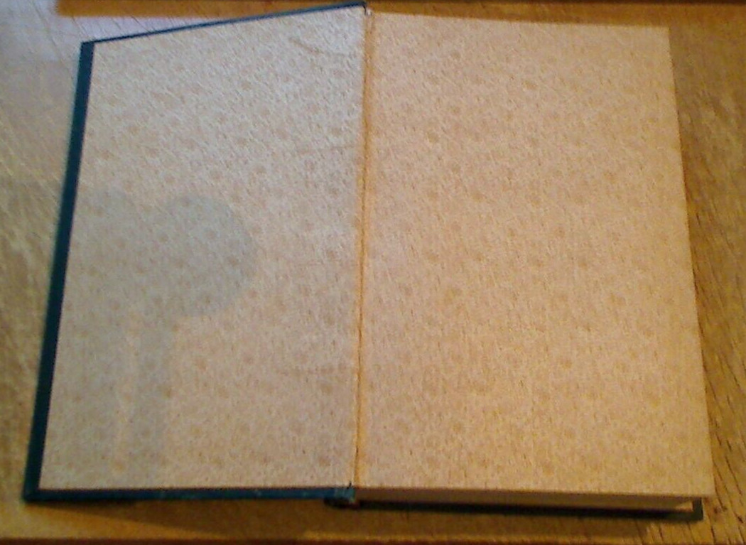 History of Jacksonville, Florida & Vicinity 1513 to 1924-Frederick Davis-1925 ed