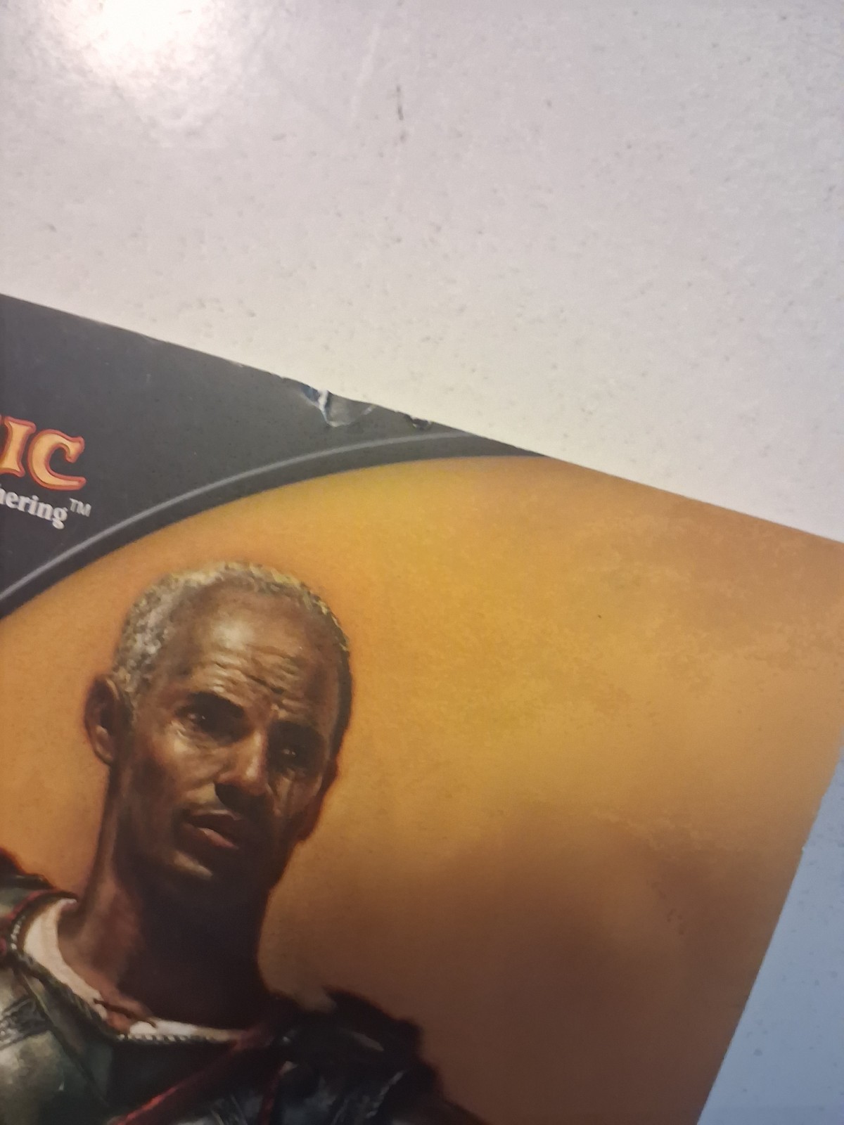 Magic the Gathering RAVNICA Cycle Book 1, Cory Herndon,Wizards Of The Coast Mtg
