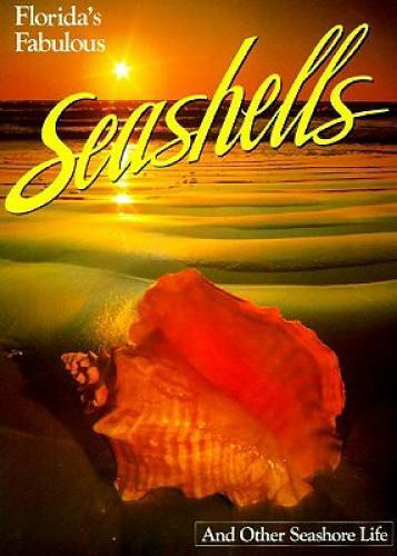Florida&rsquo;s Fabulous Seashells: And Other Seashore Life – Paperback – GOOD