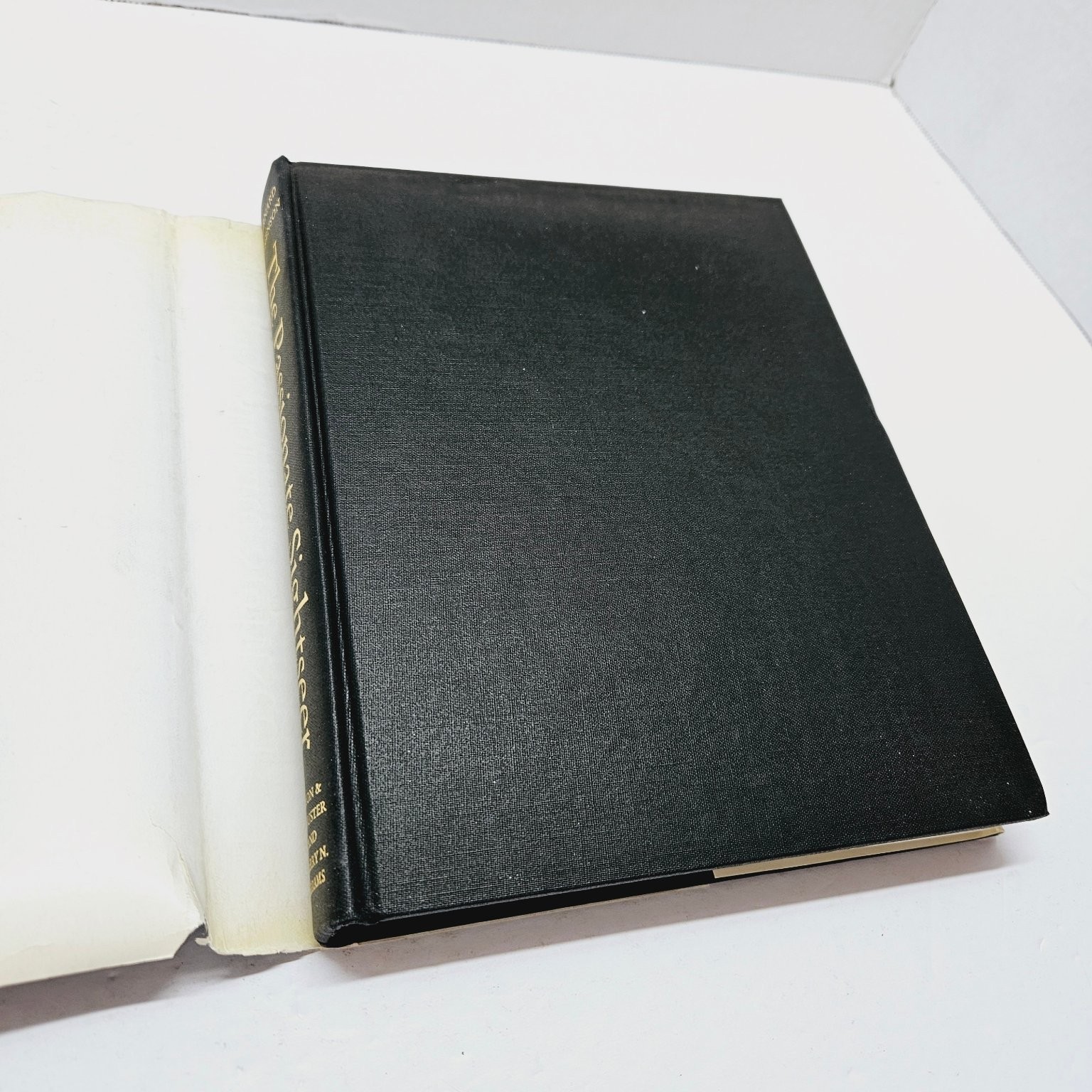 Vintage Art History Diaries – Passionate Sightseer – Bernard Berenson 1960 Hcdj