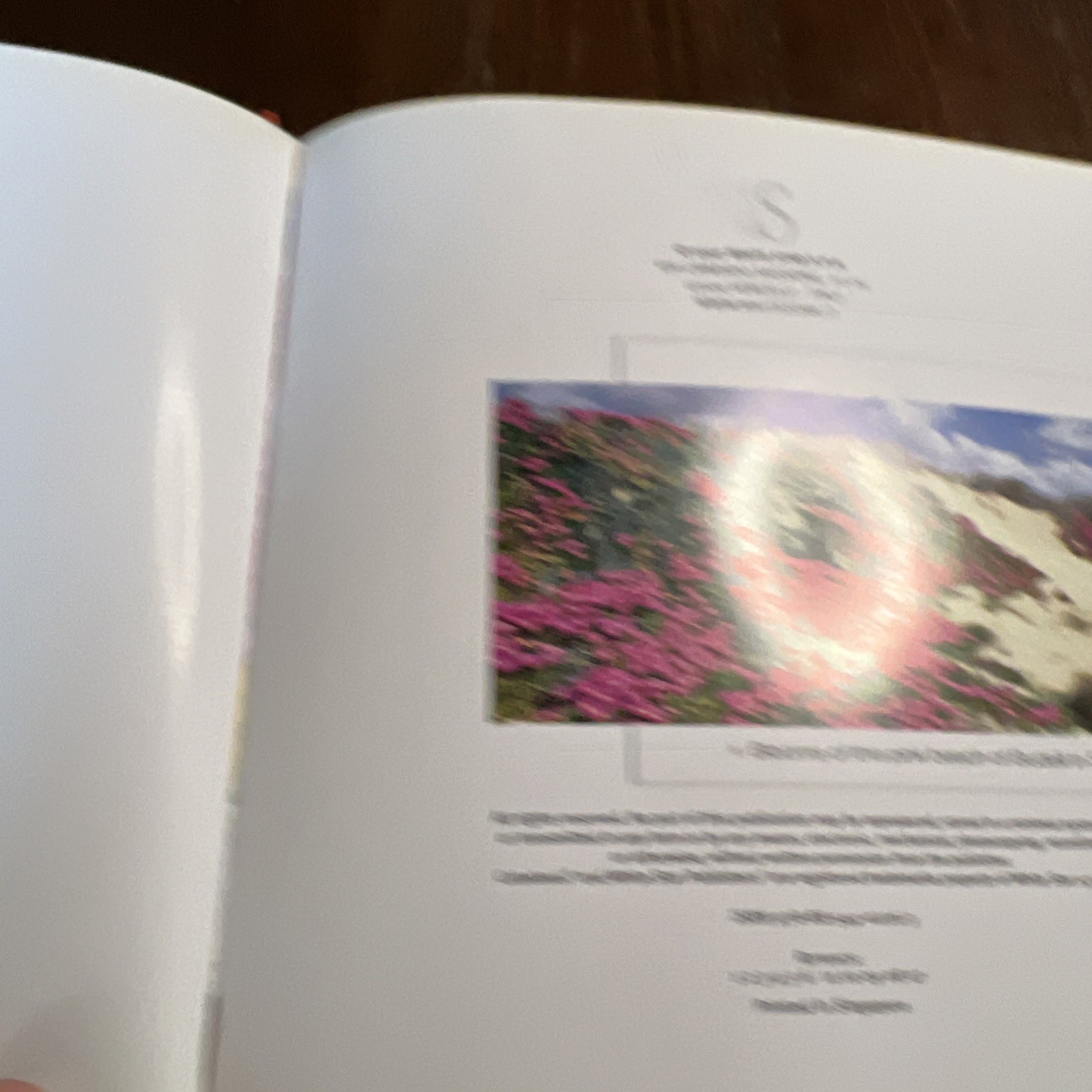 Flowers Cube book Valeria Manferto De Fabianis Hardback 736 pages