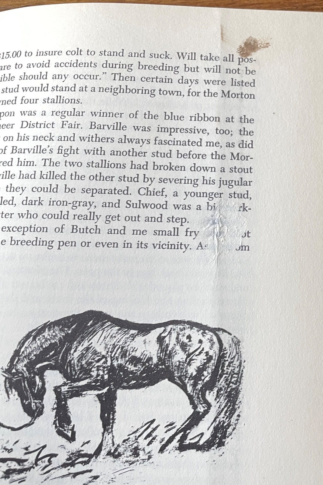 Ross Santee Dog Days First Edition A Scribner 1955 DJ Illus Cowboy Life Western