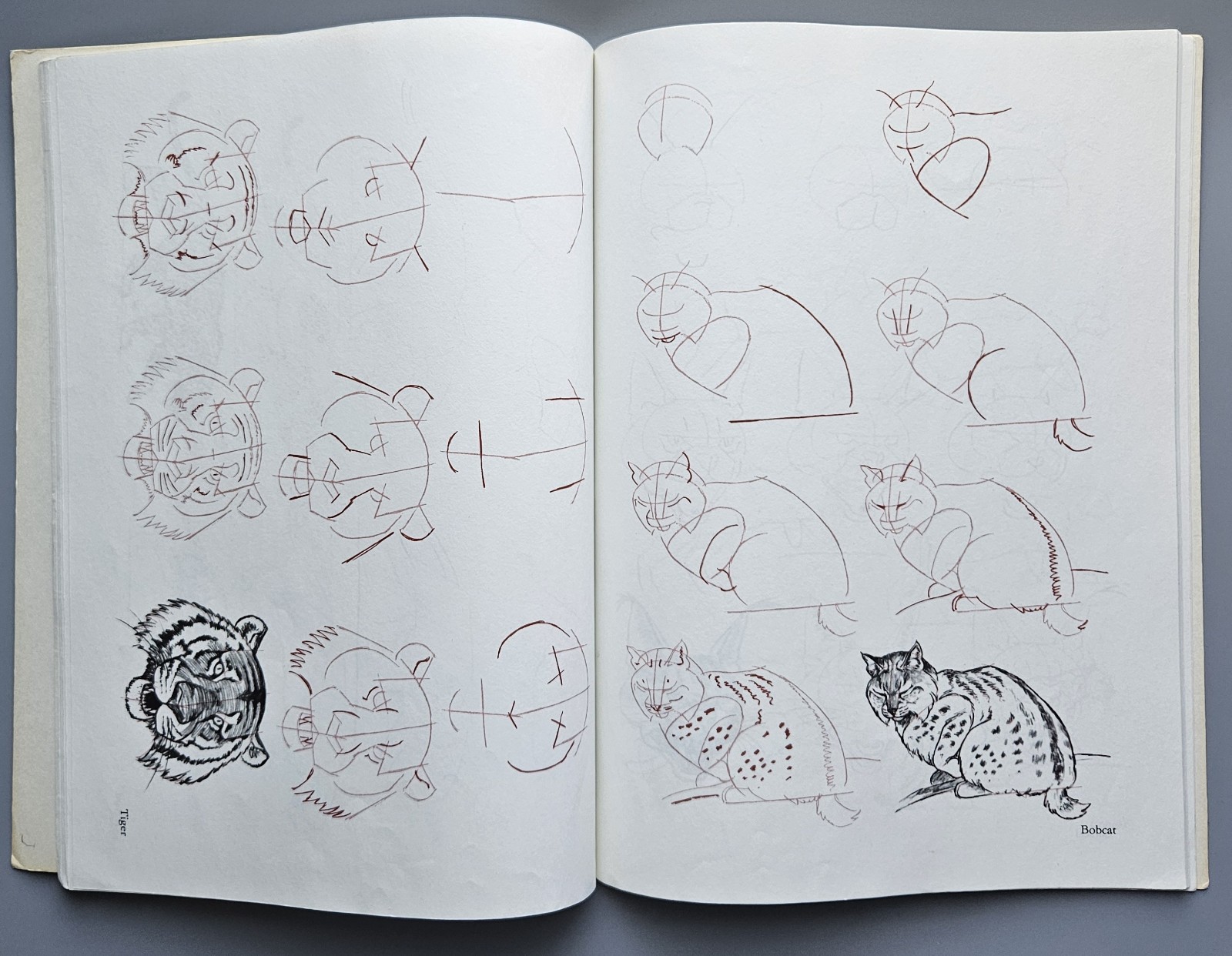 Draw 50 Animals Books Lot Lee J Ames Horses Cats Dogs Step-by-Step Drawing