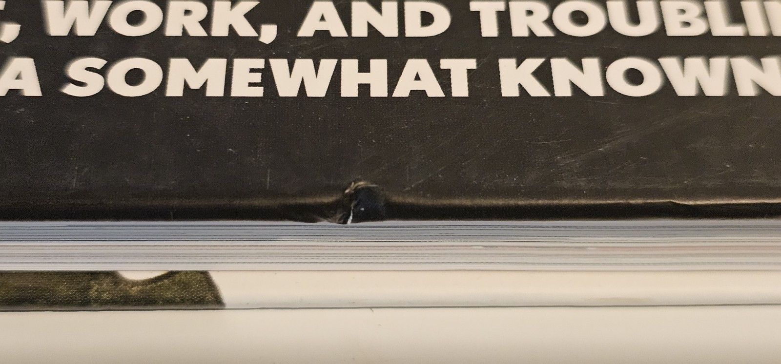 THE ART (AND MANY OTHER MISTAKES) OF ERIC POWELL – Hardcover Out of Print