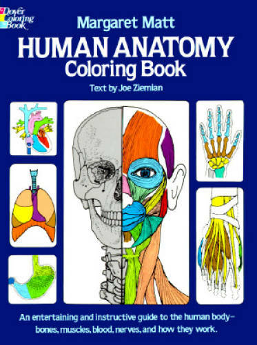 Human Anatomy Coloring Book (Dover Children&rsquo;s Science Books) – ACCEPTABLE
