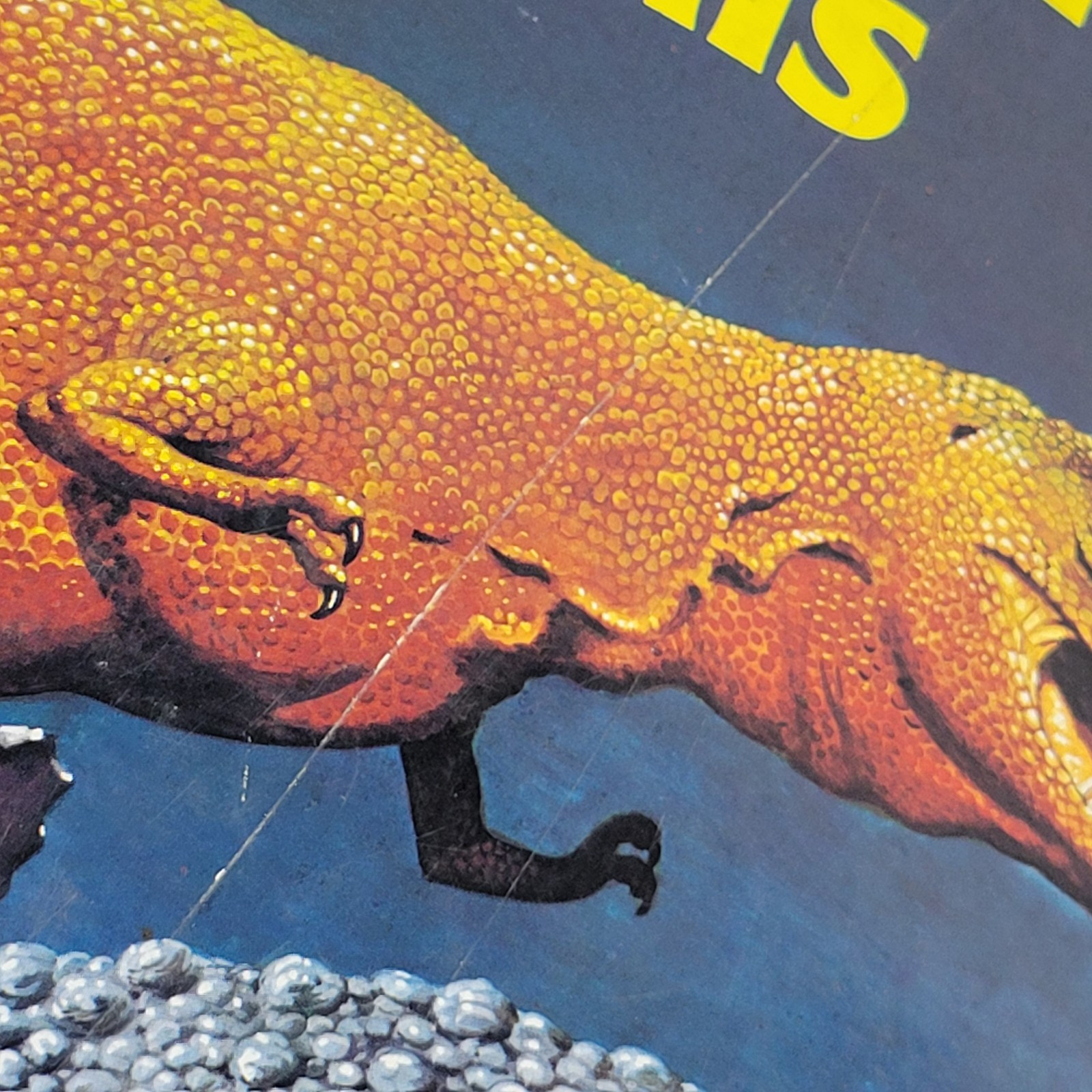 Dinosaurs And Prehistoric Animals Book Vintage 1981 Kid&rsquo;s Hardcover Honey Bear