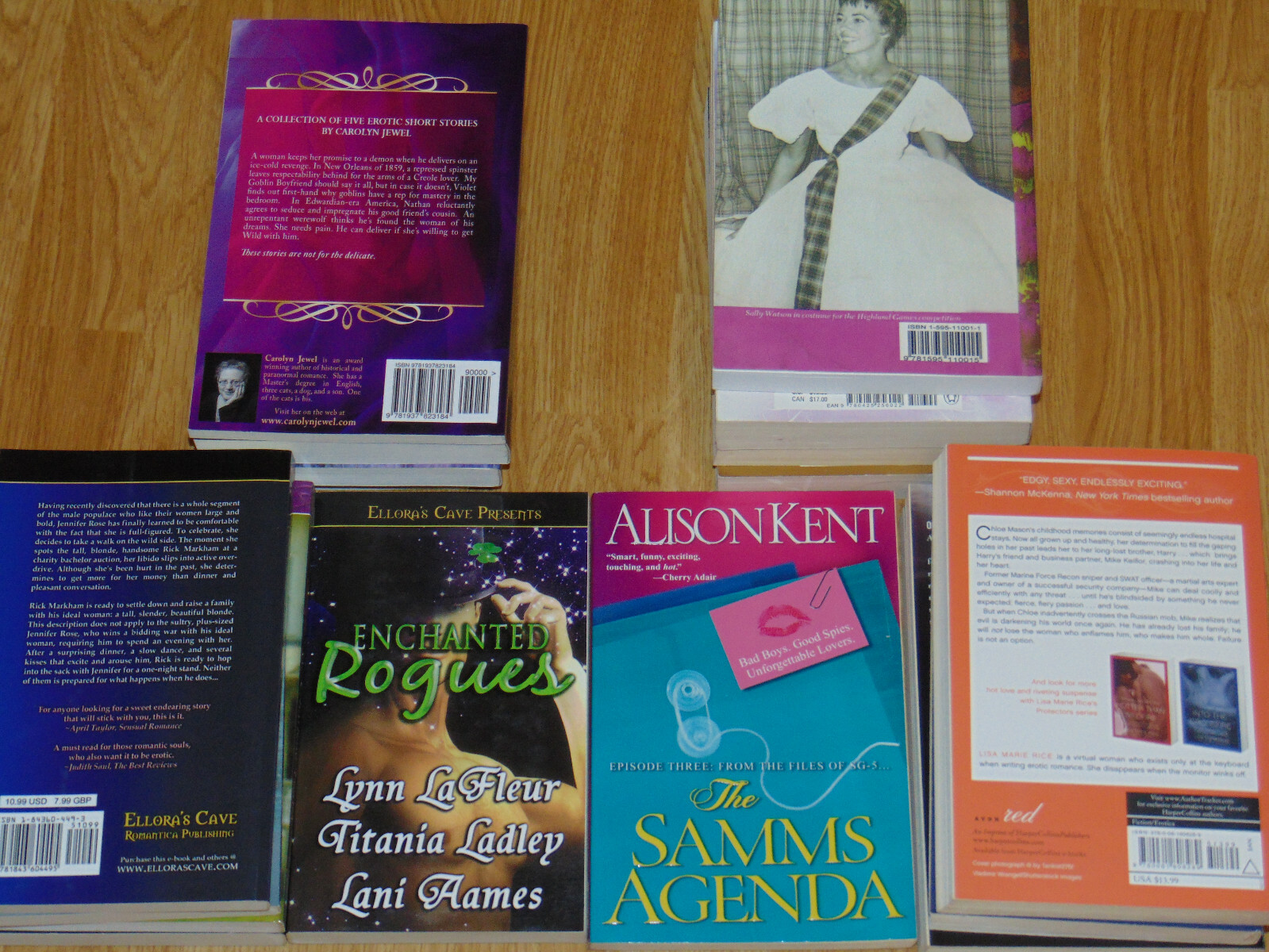 Romance / Fantasy Novels Books Random Mixed 2000&rsquo;s & 2010&rsquo;s Lot Of 18