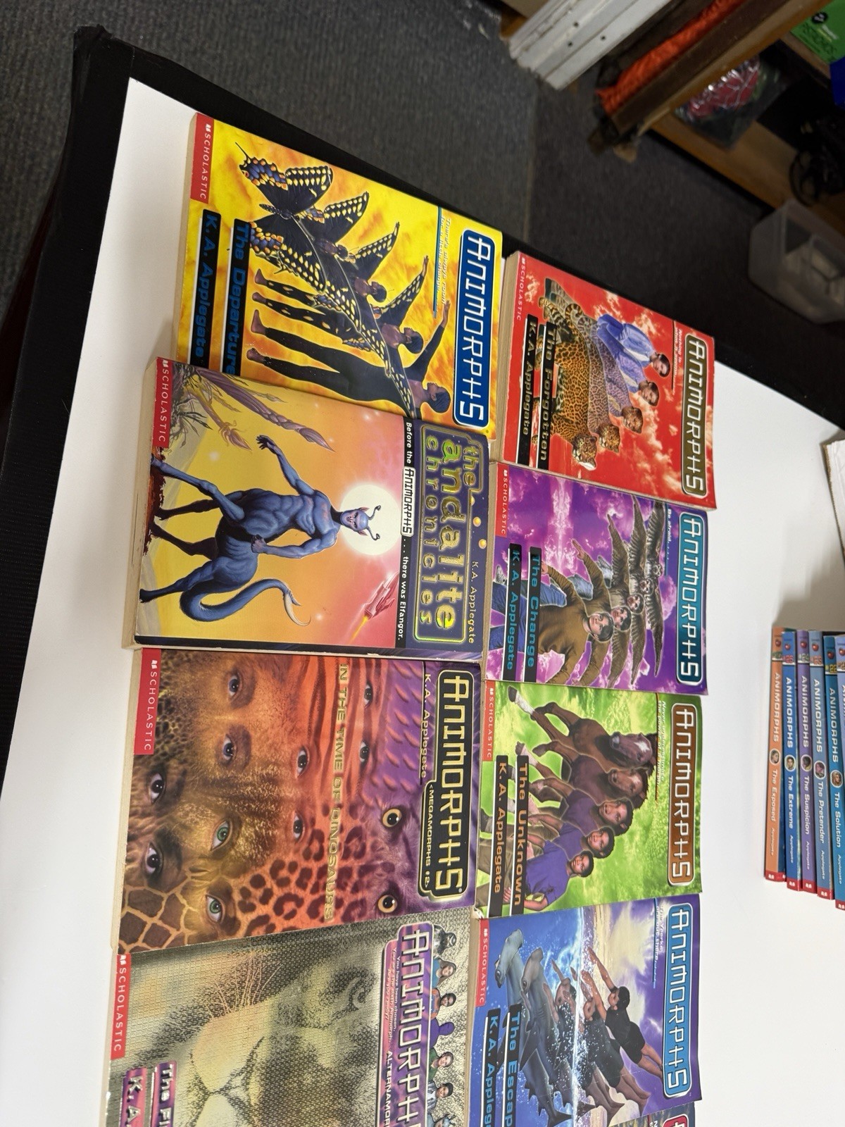 Animorphs Book Lot
