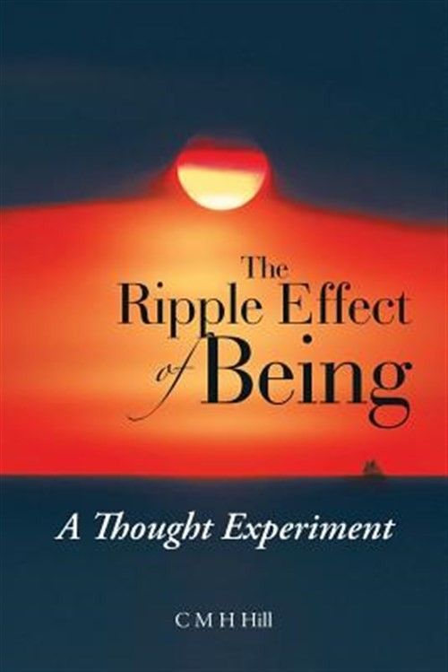 Ripple Effect of Being : A Thought Experiment, Paperback by Hill, C. M. H., L…