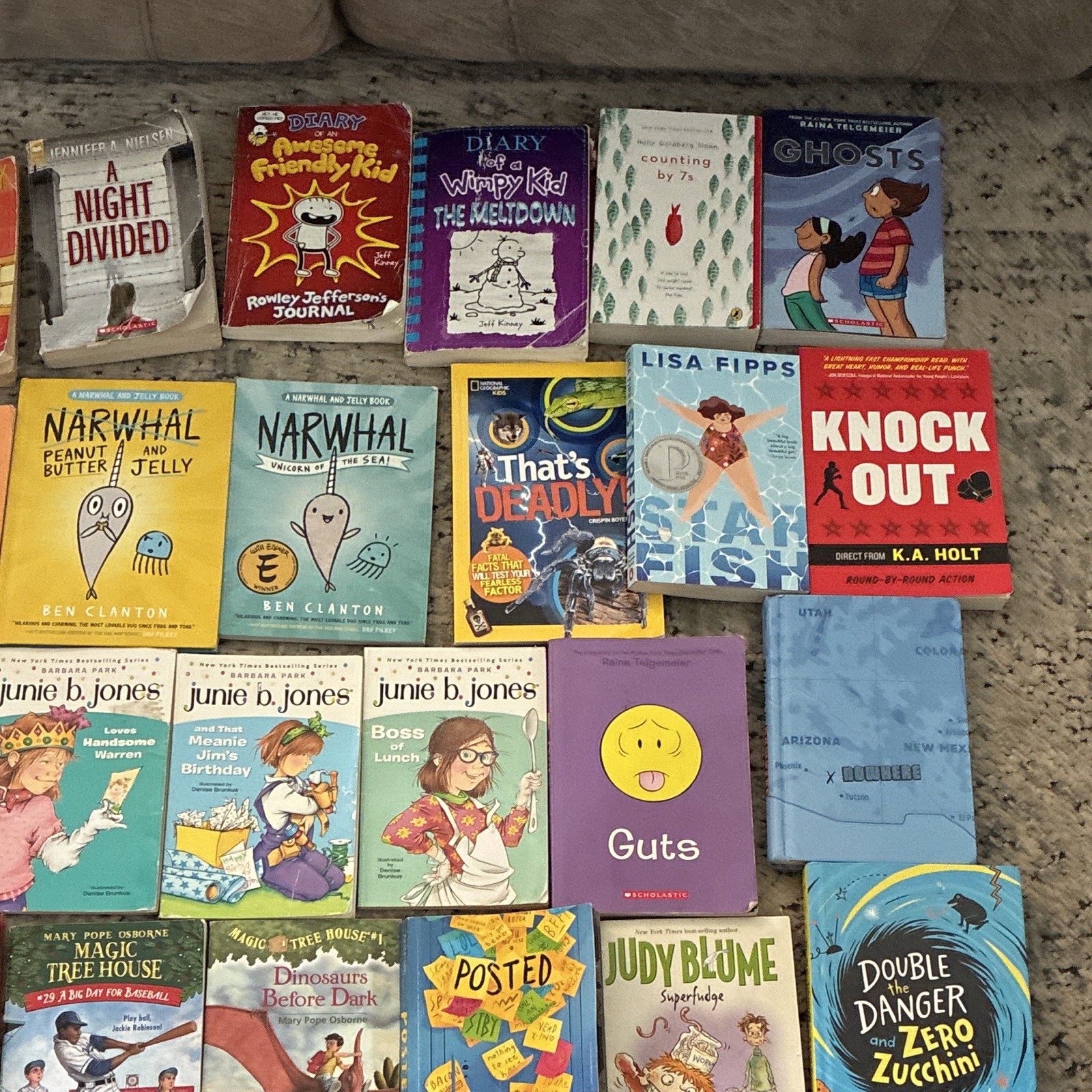 43 Scholastic Mixed Lot Ages 7-12 Paperback Books