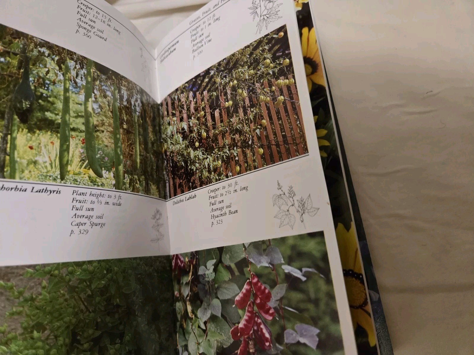 Taylor&rsquo;s Guides to Gardening: Annuals, Bulbs,Perennials First Editions Softcover