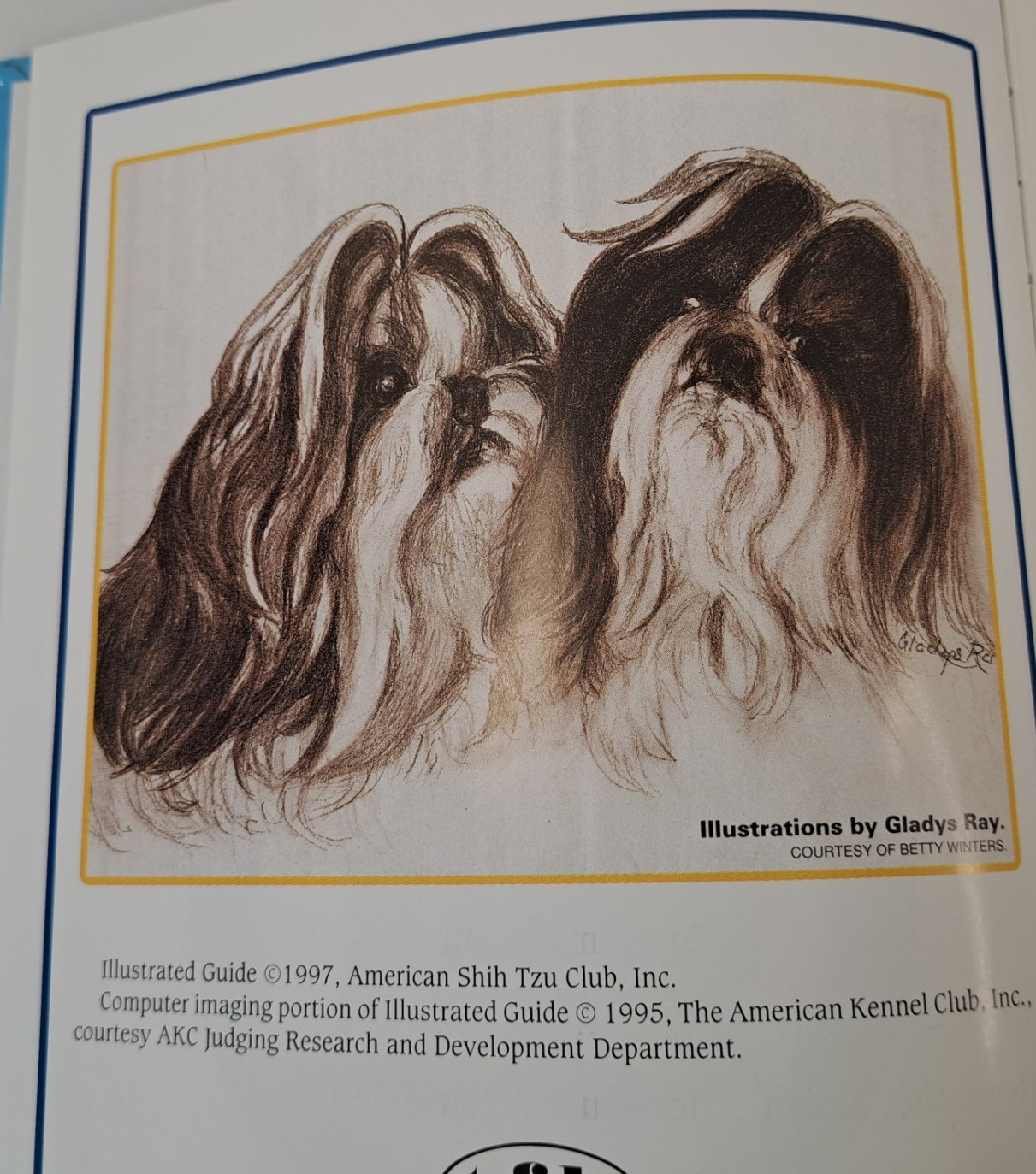 The Official Book of the Shih Tzu by Jo Ann White Vintage 90s 1997