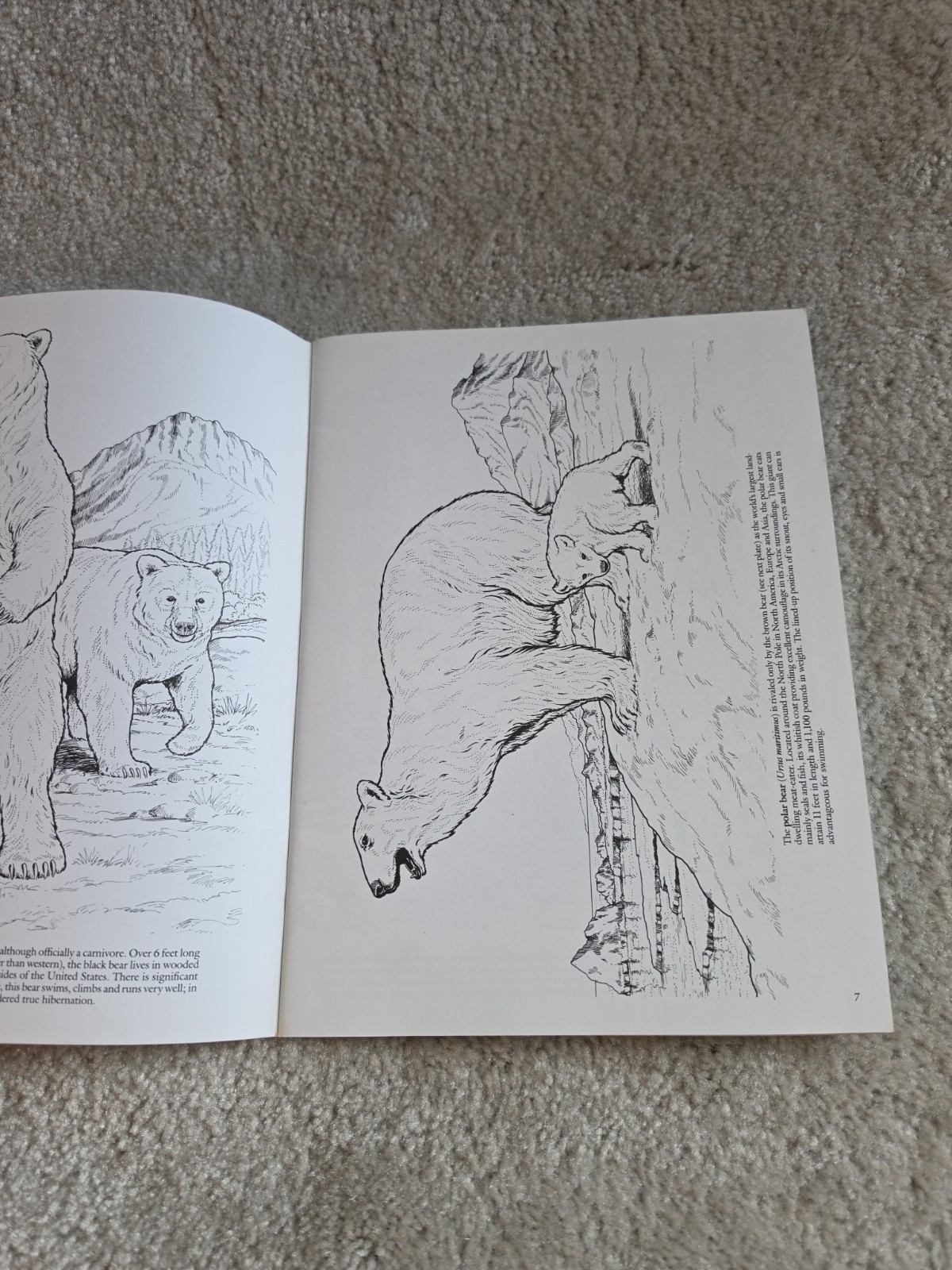 Vintage Lot Of 4 Coloring Books. Dover Publications. Houghton Mifflin Company