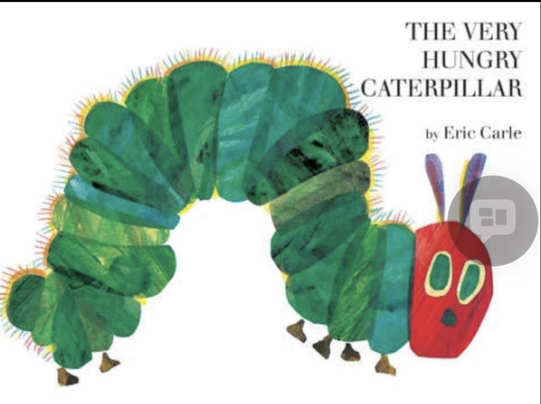 Eric Carle :The Very Hungry Caterpillar(TM) Hard Cover Used Good Condition