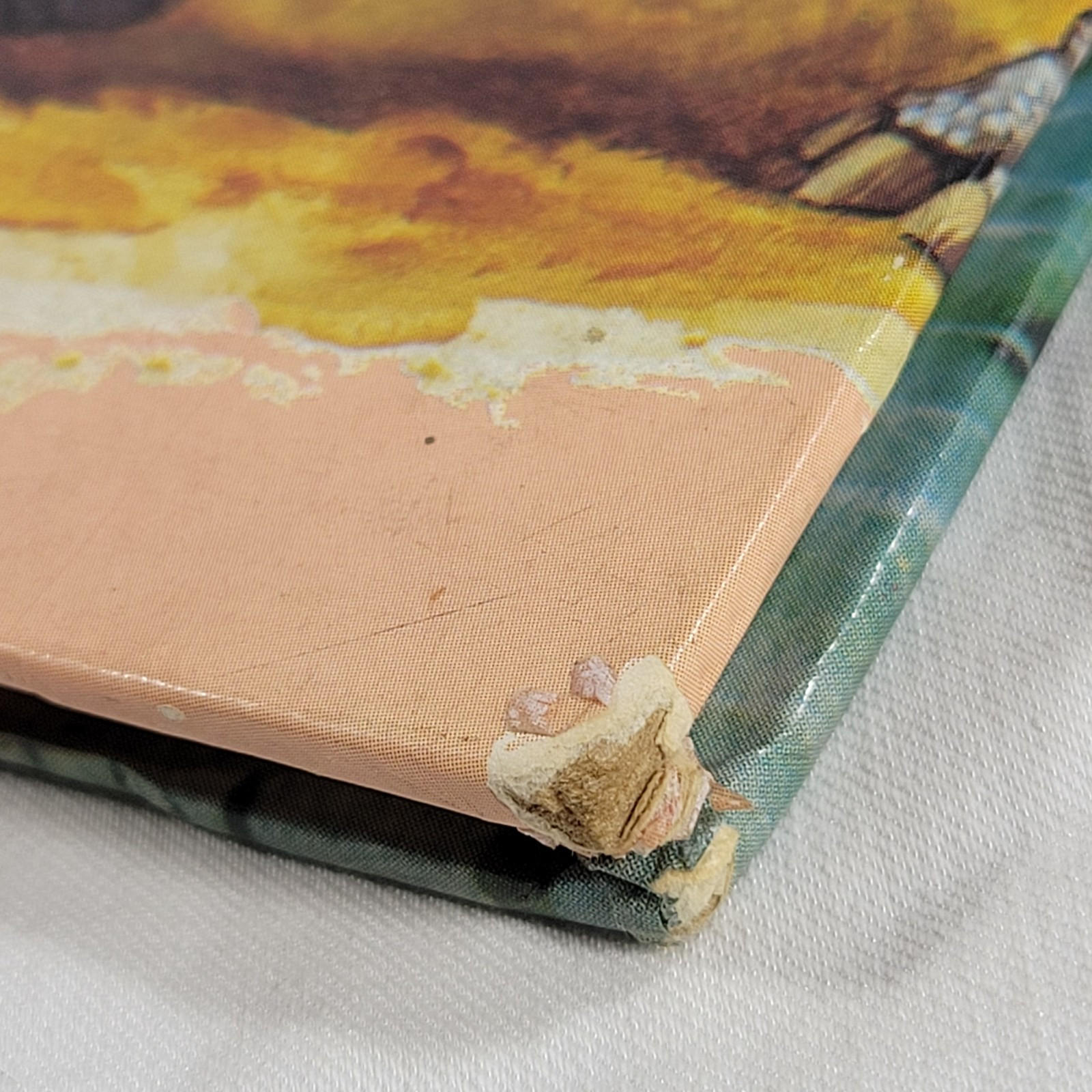 Dinosaurs And Prehistoric Animals Book Vintage 1981 Kid&rsquo;s Hardcover Honey Bear