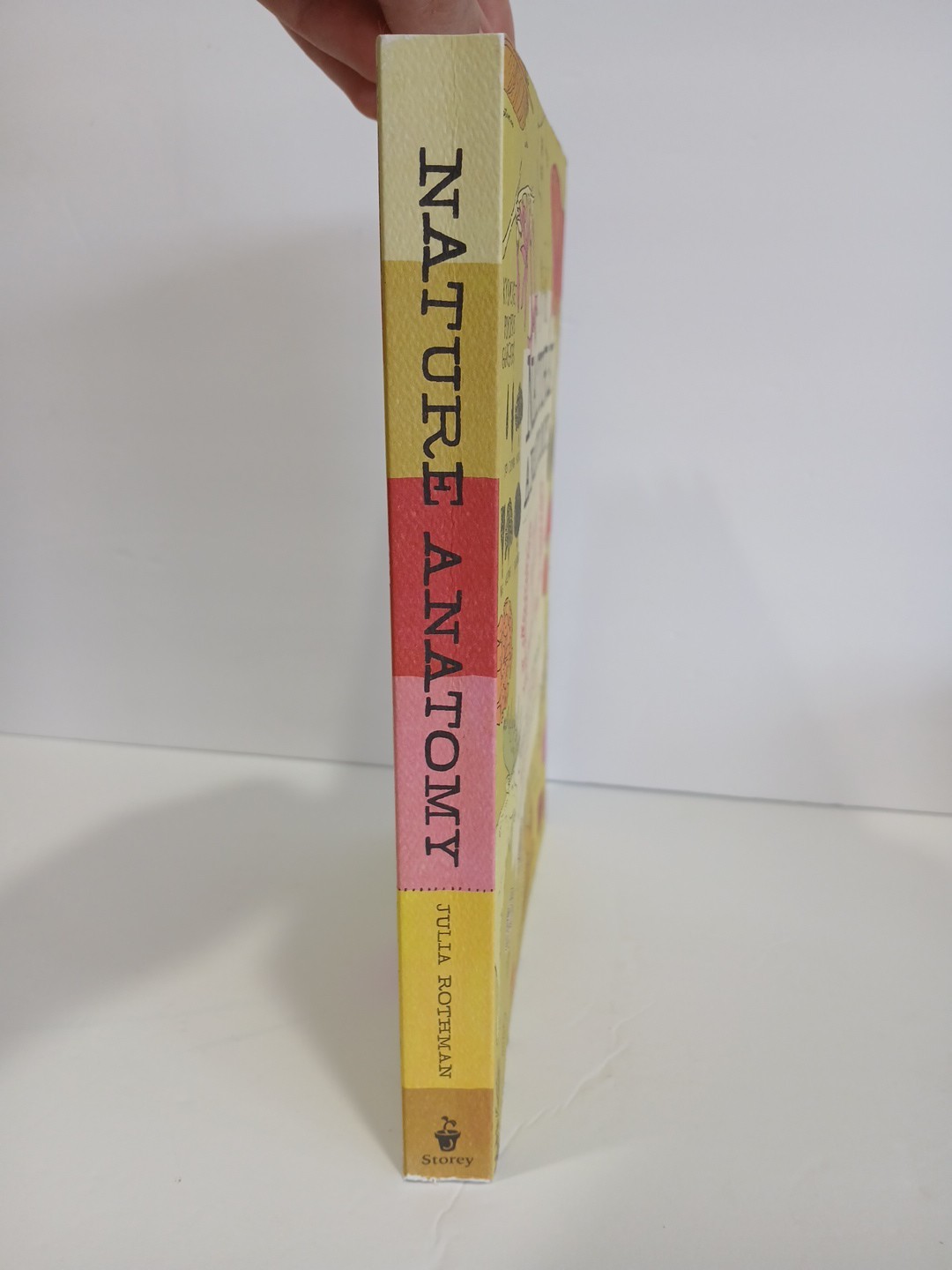 Nature Anatomy : The Curious Parts and Pieces NEW by Julia Rothman (Paperback)