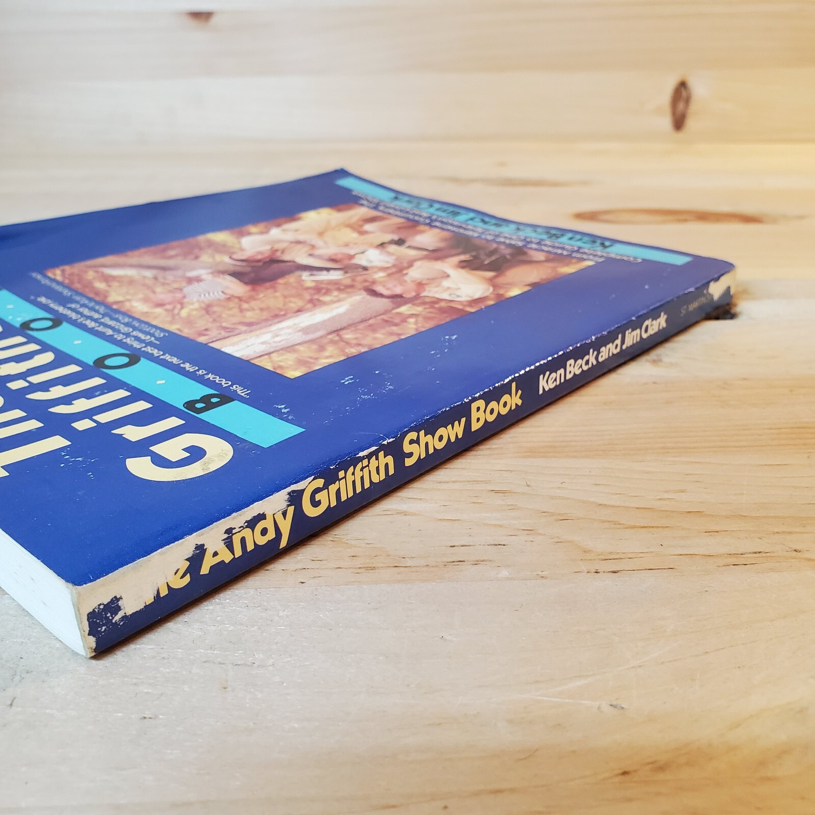 The Andy Griffith Show Book, Ken Beck & Jim Clark, St Martins Press 1985 NICE!