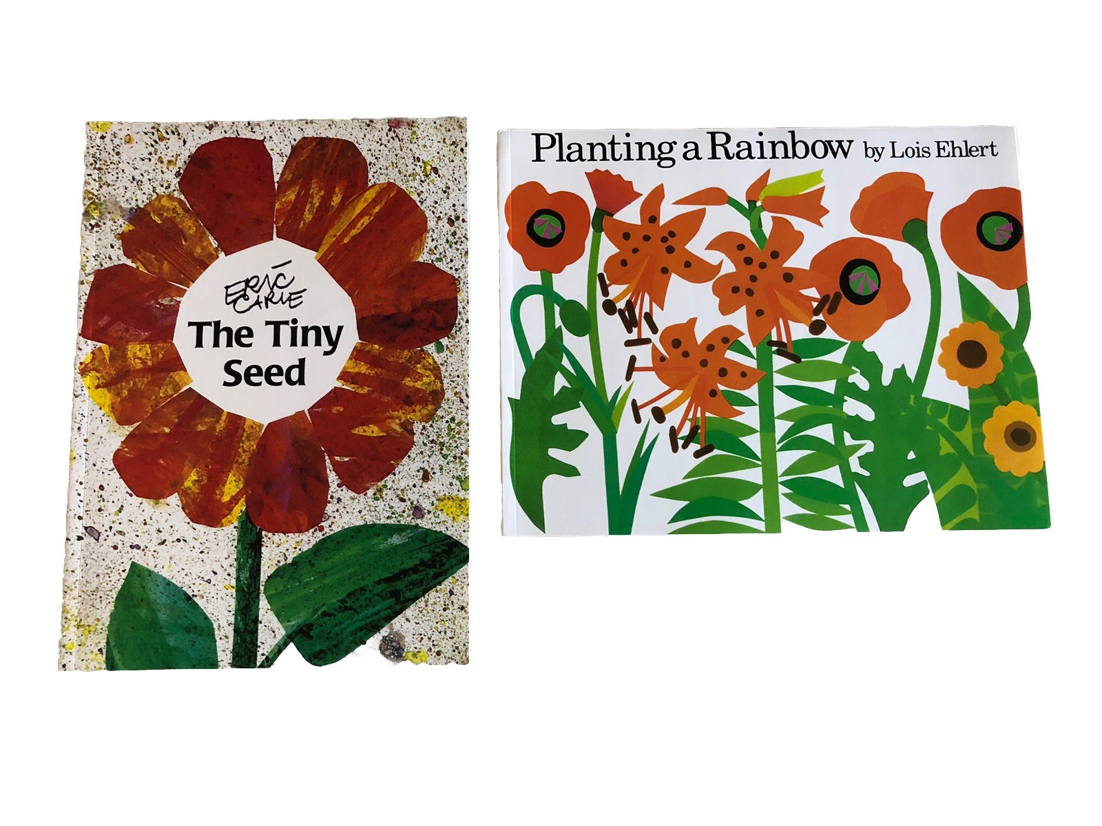 Children&rsquo;s Books Lot of 2 Eric Carl Lois Ehlert The Tiny Seed Planting a Rainbow