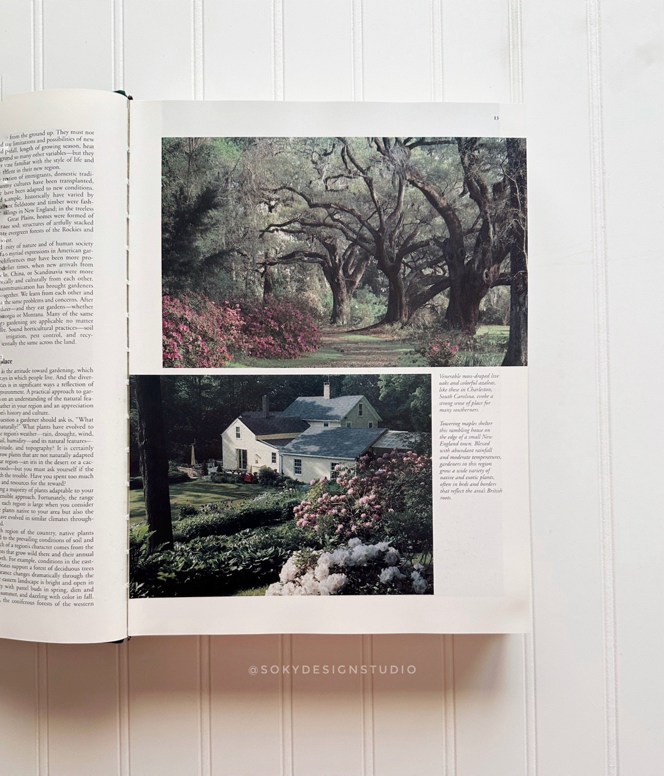 Taylor&rsquo;s Guides Master Guide Gardening Hardcover Houghton Mifflin 1994 Illustra…
