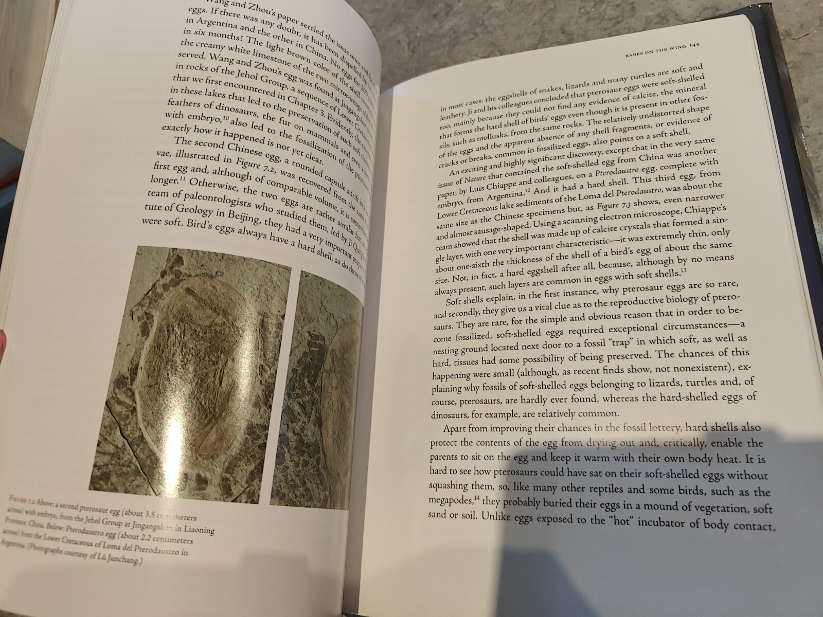 The Pterosaurs: From Deep Time By Unwin, David M. David M. Unwin