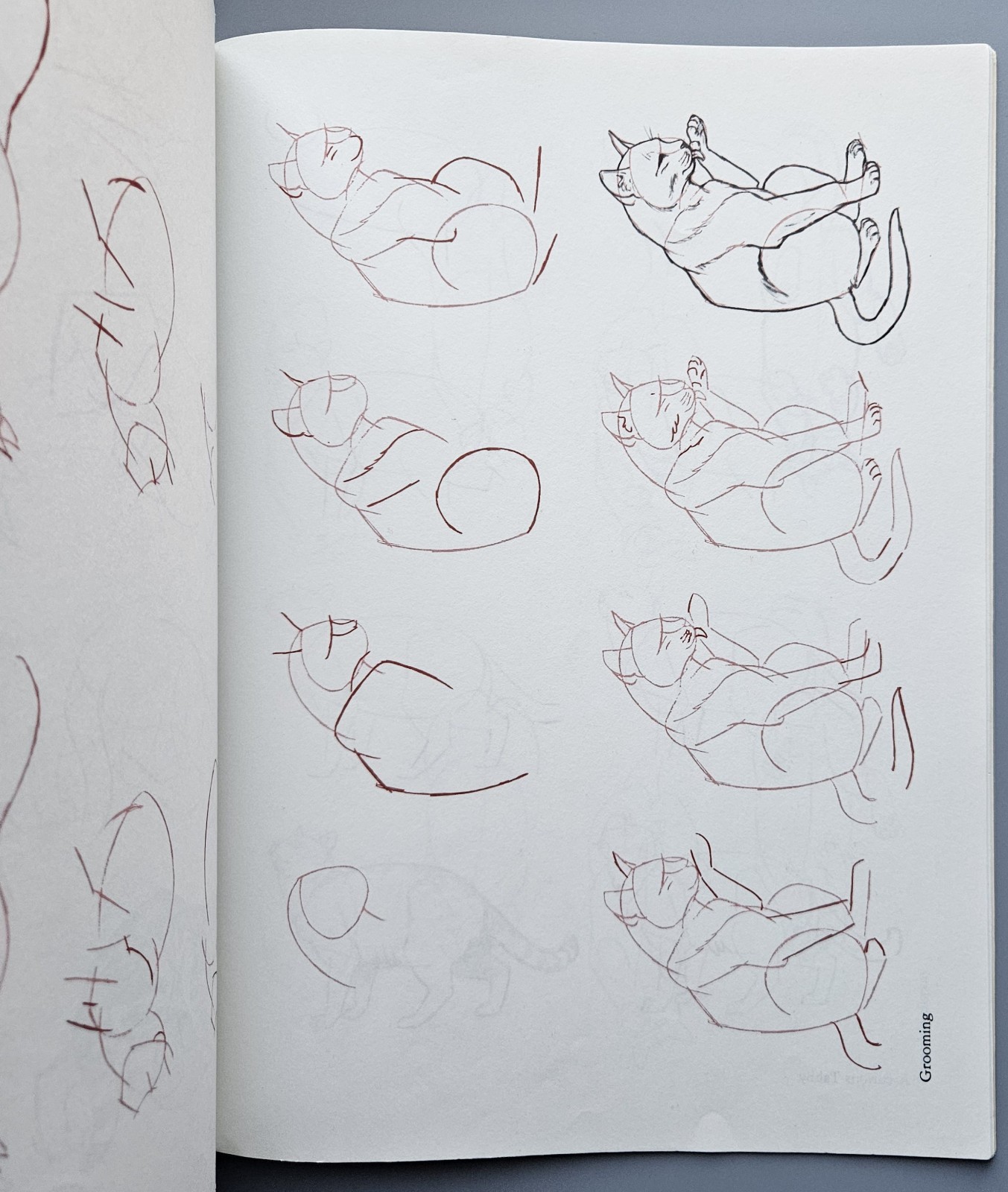 Draw 50 Animals Books Lot Lee J Ames Horses Cats Dogs Step-by-Step Drawing