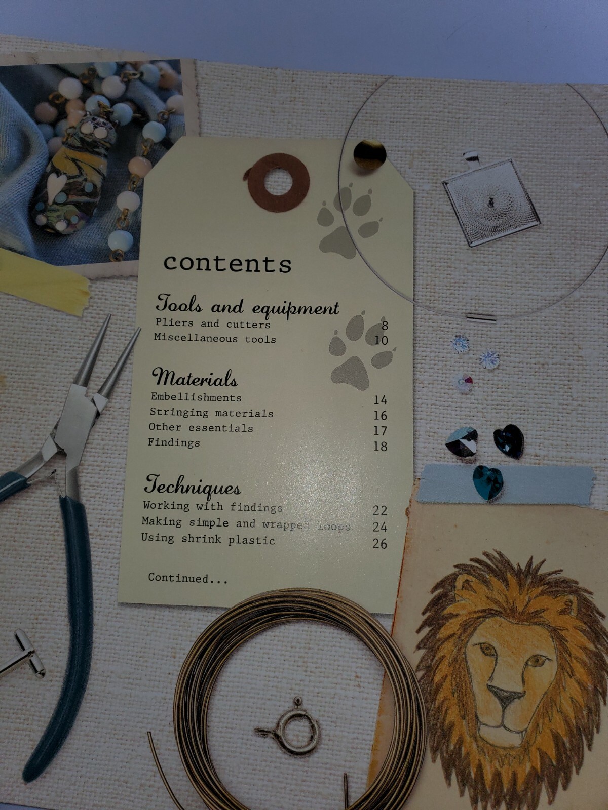 Cats: 20 Jewelry and Accessory Designs (Paperback or Softback)!