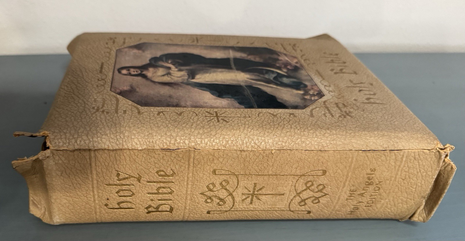HOLY BIBLE 1960&rsquo;s Catholic Press HOLY NAME DELUXE EDITION Illustrated