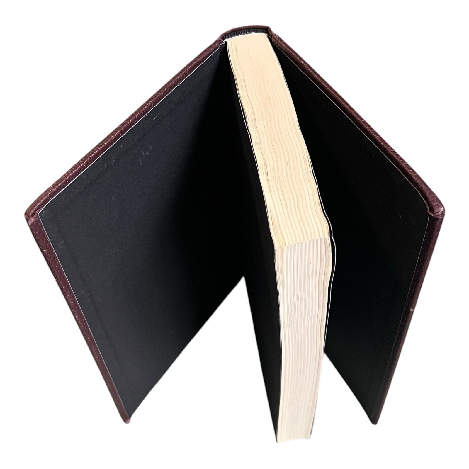 Jurassic Park Michael Crichton 2017 Books-A-Million Brown Faux Leather Book