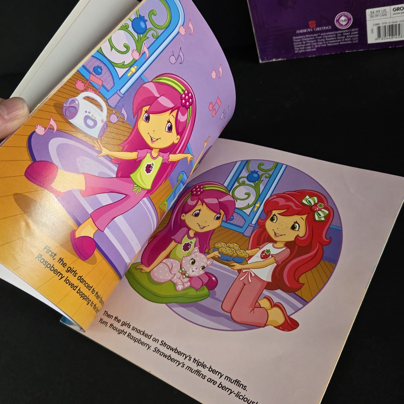 Lot Of 2 Strawberry Shortcake Books From 2010&rsquo;s