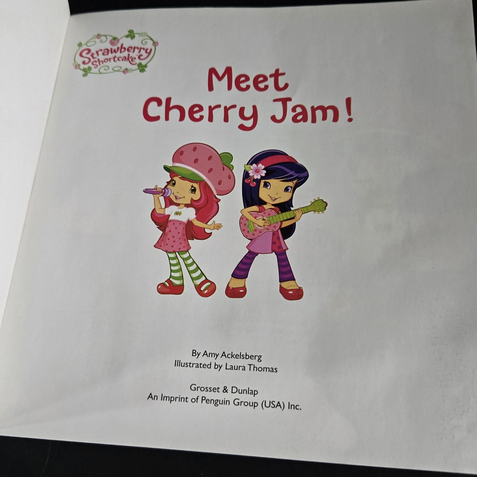Lot Of 2 Strawberry Shortcake Books From 2010&rsquo;s