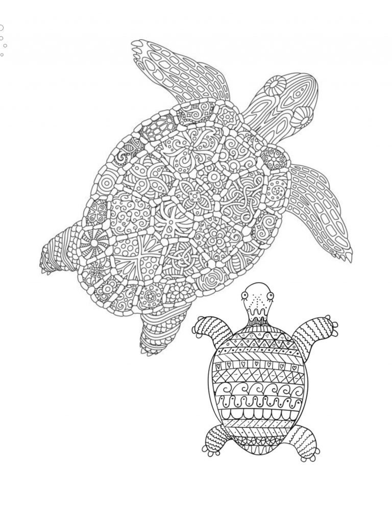 Best the Turtles & Turtle Coloring books 108 Pages 8.5 x 11 for All Ages