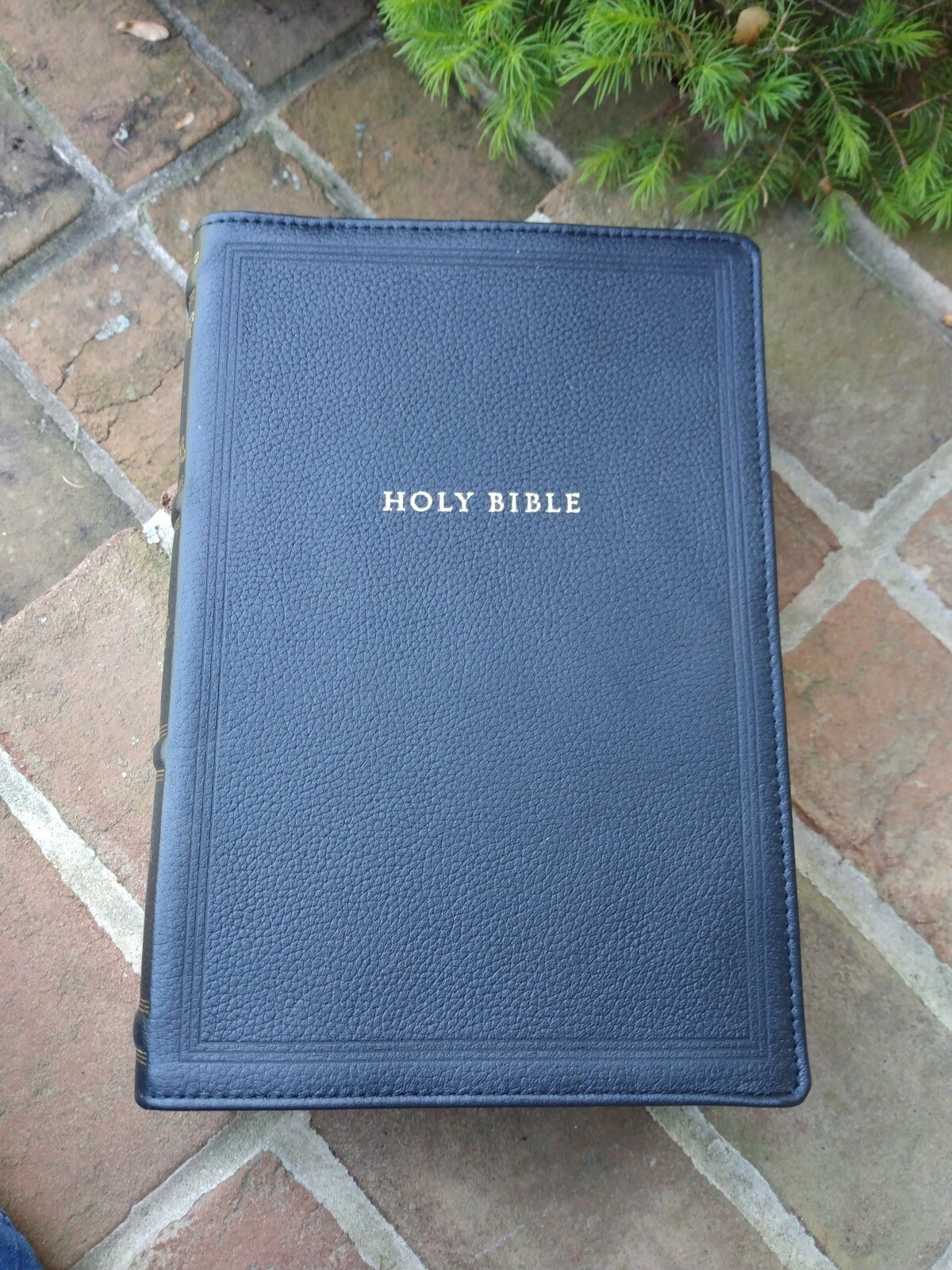 Kjv, Wide-Margin Reference Bible, Sovereign Collection, Genuine Leather, Black,