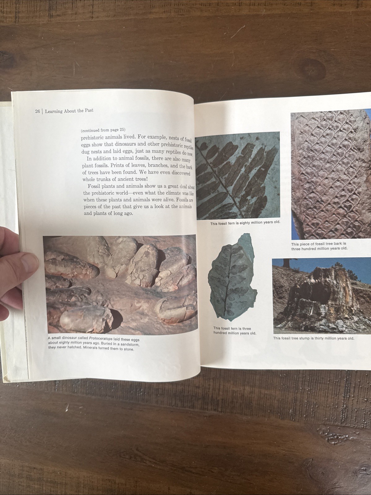 1976 Prehistoric Animals Childcraft Annual Book Hardcover Child Educational