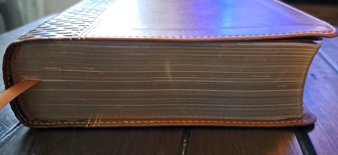 NKJV, American Woman&rsquo;s Bible, Leathersoft, Brown, 2016 – LIKE NEW
