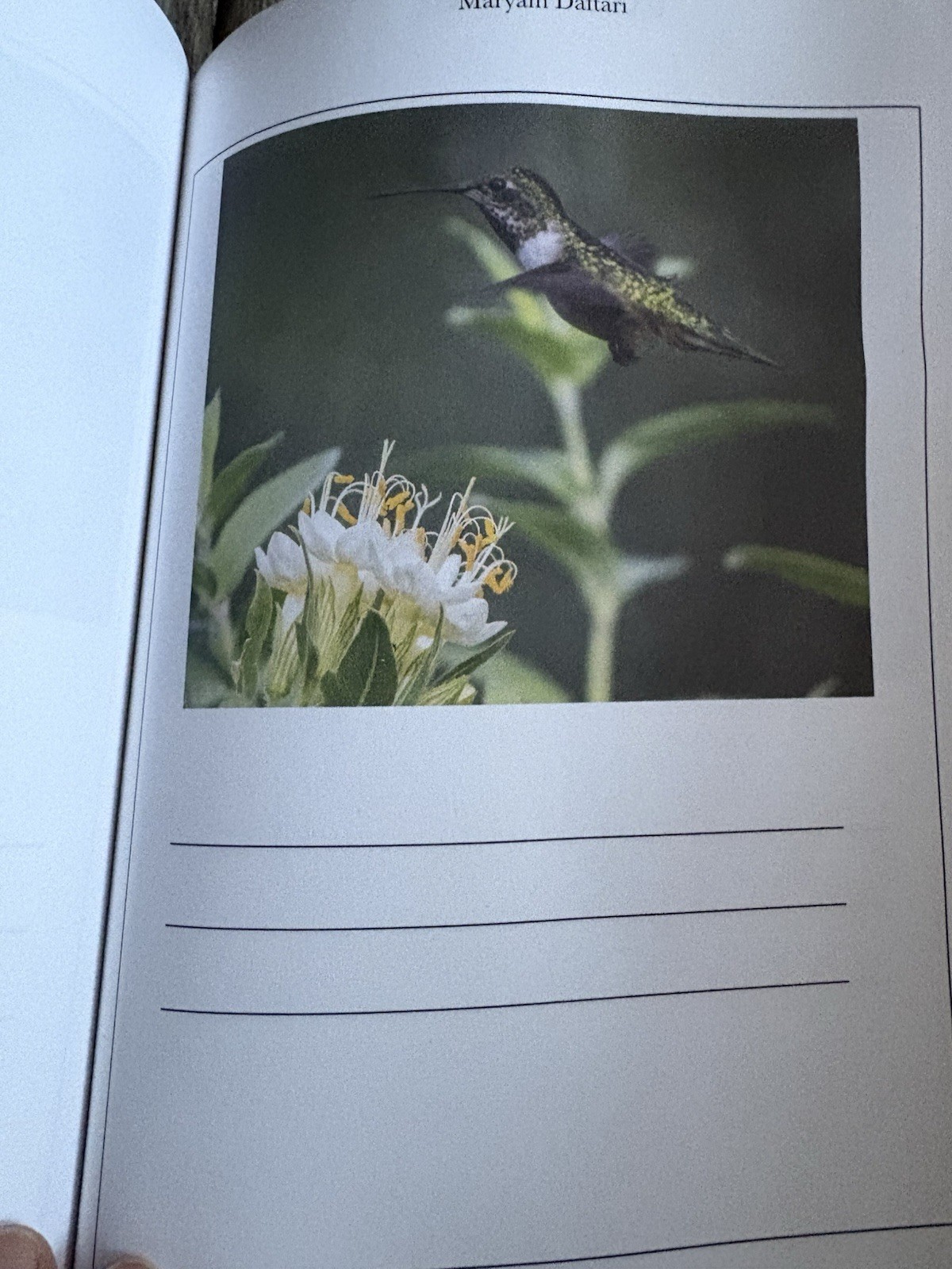 Haiku Workbook Maryam Daftari 2022 Like New Paperback