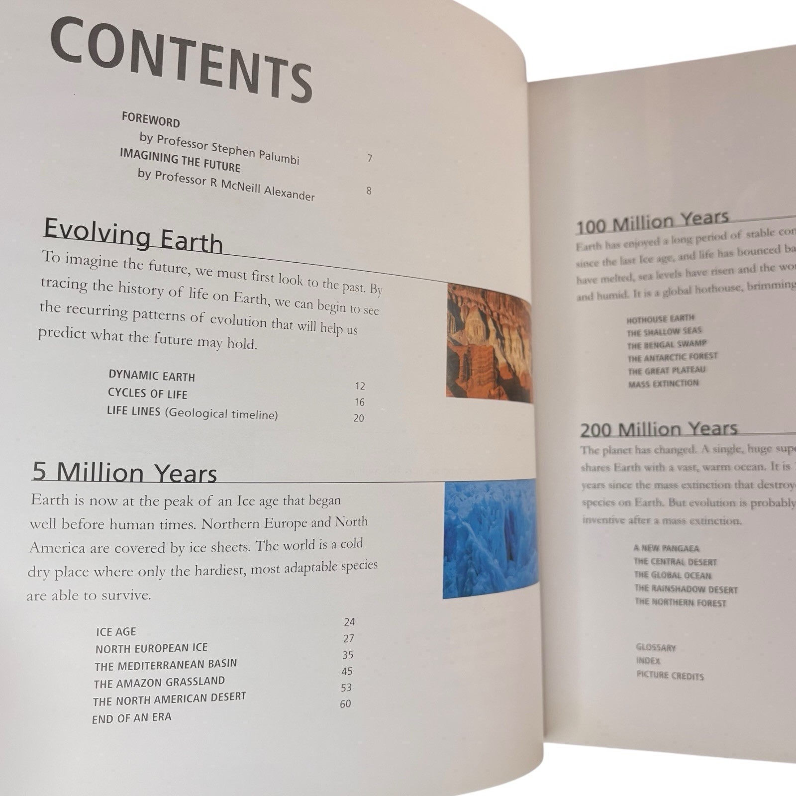 VTG FIRST PRINTING « Future Is Wild » by John Adams (2003, Large Trade Paperback)