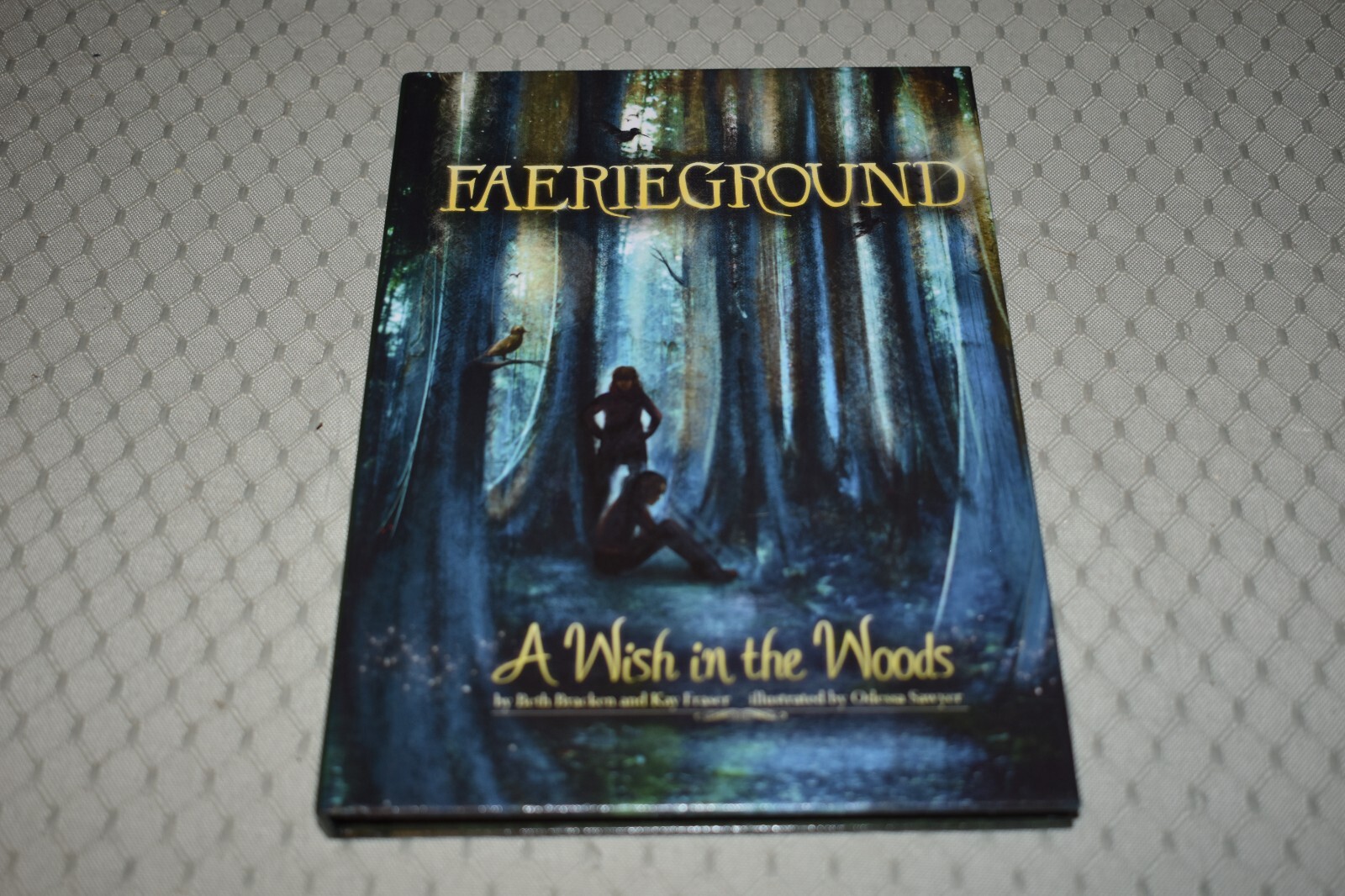 A Wish In The Woods by Beth Bracken/Kay Frazier (1st Edition/Print, hardcover)